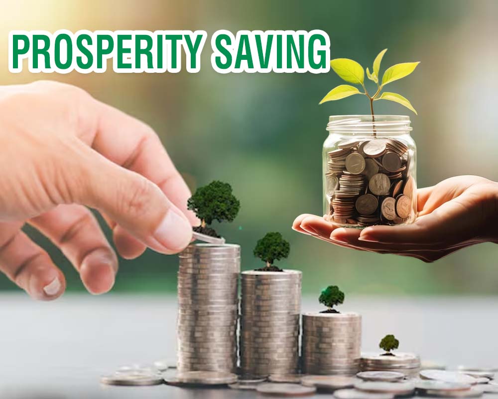 Prosperity Savings Account