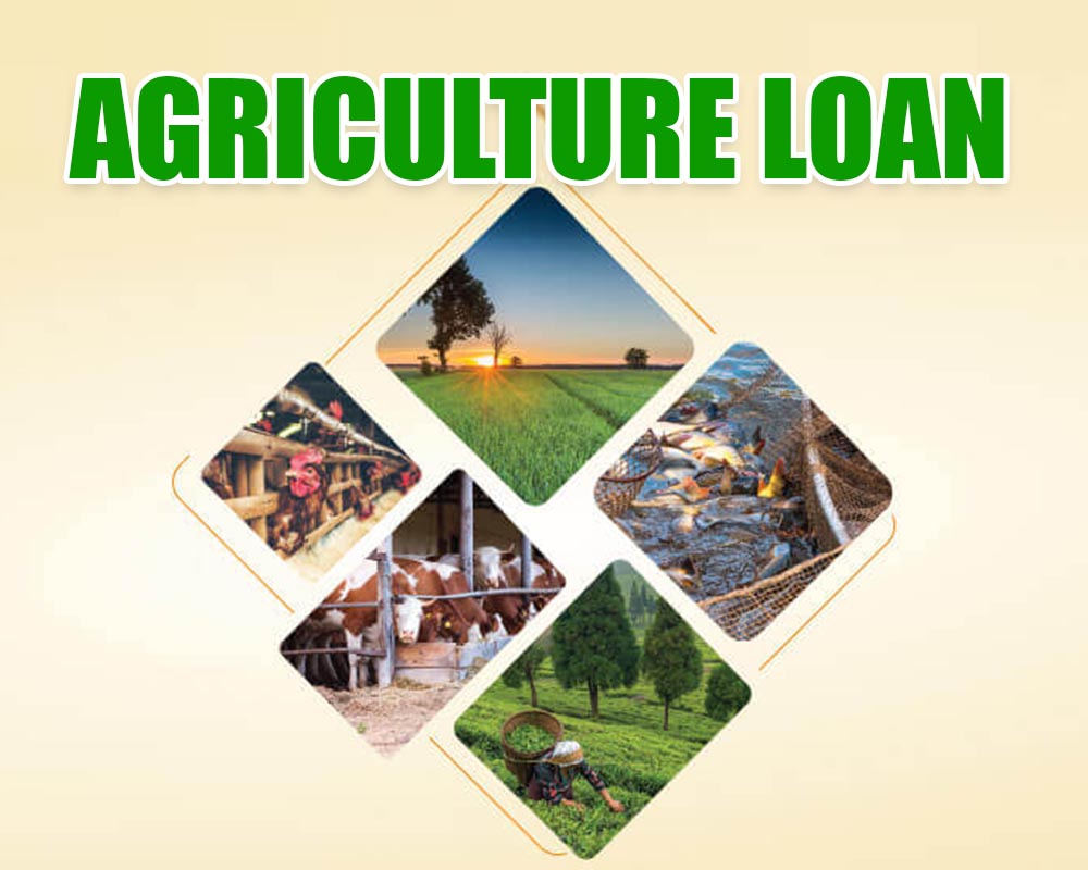 Agriculture Loan